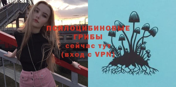 ПСИЛОЦИБИНОВЫЕ ГРИБЫ Заволжье
