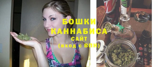 молекула духа Зеленодольск