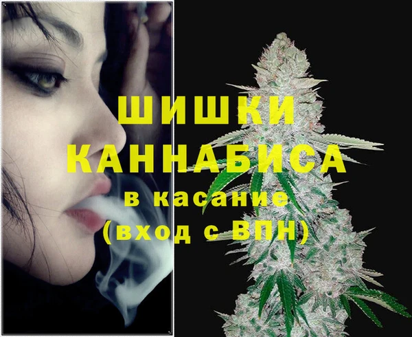 молекула духа Зеленодольск