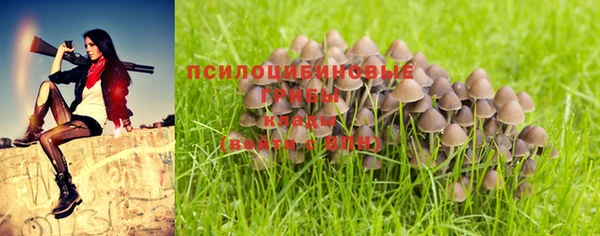 молекула духа Зеленодольск